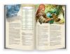 Книга Dungeons & Dragons. Книга гравця (RU) 