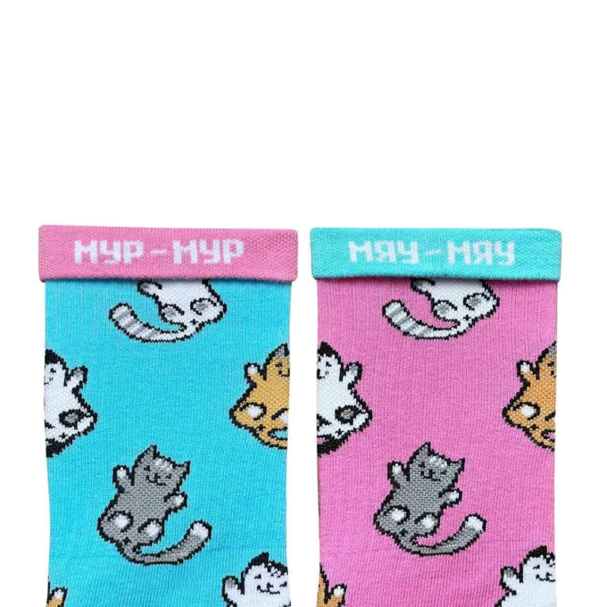 Шкарпетки Дід Носкарь Kitten Rose