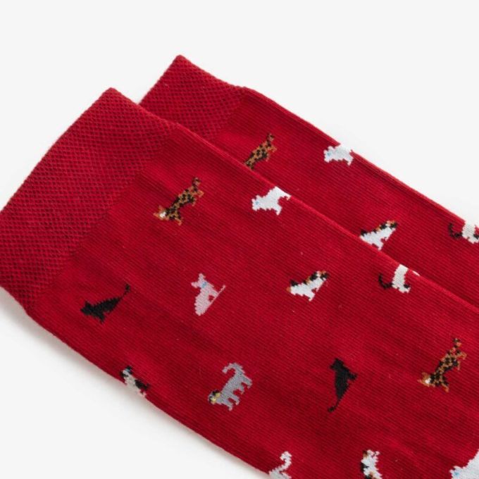 Шкарпетки Dodo Socks Коти