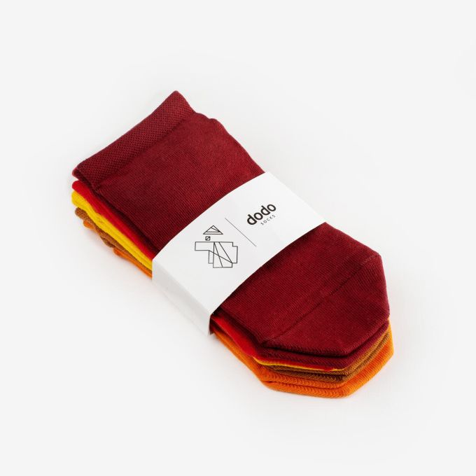 Шкарпетки Dodo Socks короткий набір Reds