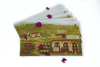 Виноробство (Viticulture)